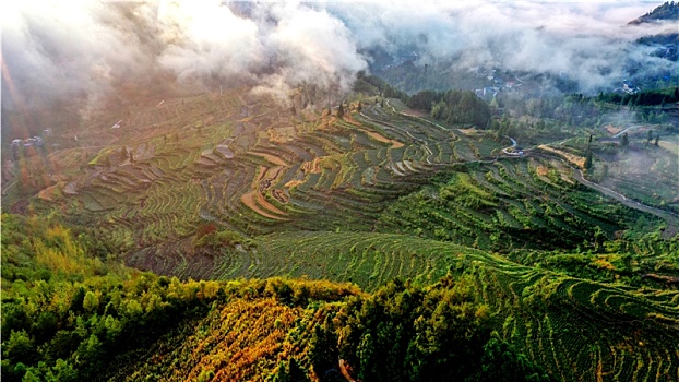 乡村美景