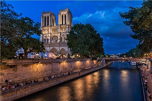 大教堂,女人,巴黎,塞纳河,晚上,法国