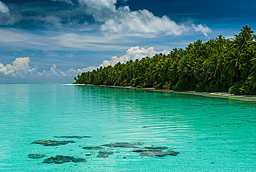 小岛,青绿色,水,蚂蚁,环礁,密克罗尼西亚,大洋洲