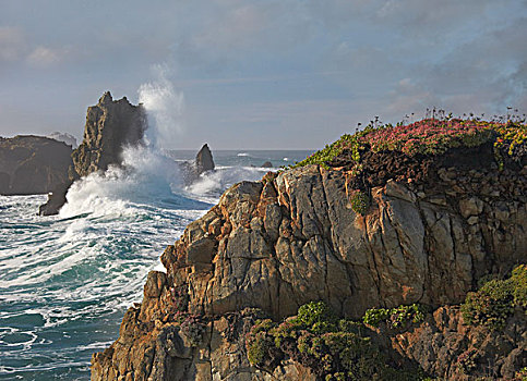 重击,岩石,海岸线,加利福尼亚