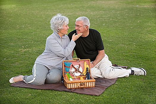 老年,夫妻,享受,浪漫,野餐