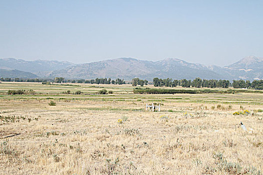 黄石公园,大提顿山