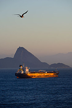 货船,早晨,亮光,面包山,背影,里约热内卢,巴西,南美