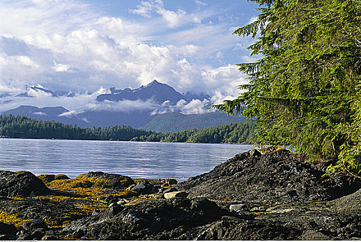 岛屿,环太平洋国家公园,不列颠哥伦比亚省,加拿大