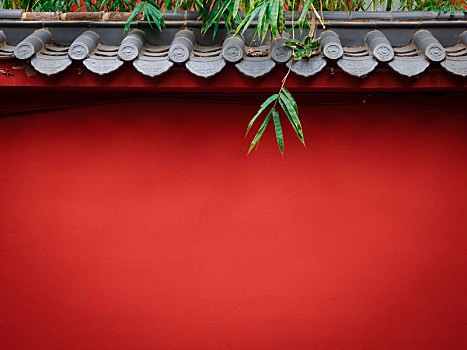 红色墙壁上的竹子
