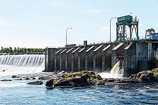 瀑布,坝,河,纽芬兰,拉布拉多犬,加拿大