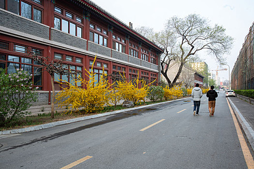 北京大学春天的景色未名湖