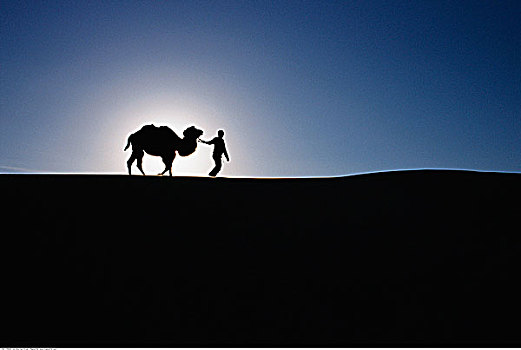 人,骆驼,蒙古