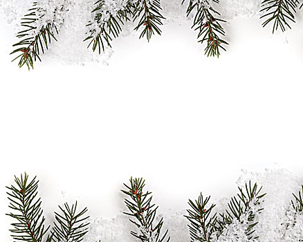 圣诞树,细枝,构图,白色,留白