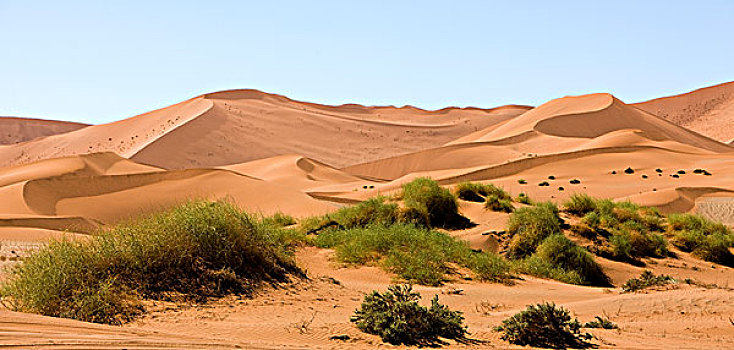 纳米布沙漠,纳米比诺克陆夫国家公园,索苏维来地区,沙丘,纳米比亚
