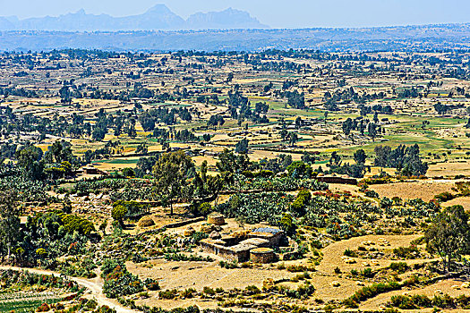 风景,地点,农田,高原,靠近,省,埃塞俄比亚,非洲