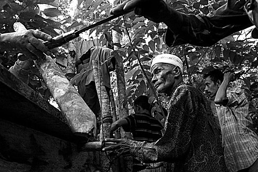 村民,准备,困境,虎,监督,传统,印度尼西亚,十月,2007年