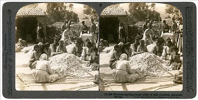 女人,分类,大,堆放,丝绸,茧,叙利亚,20世纪,艺术家
