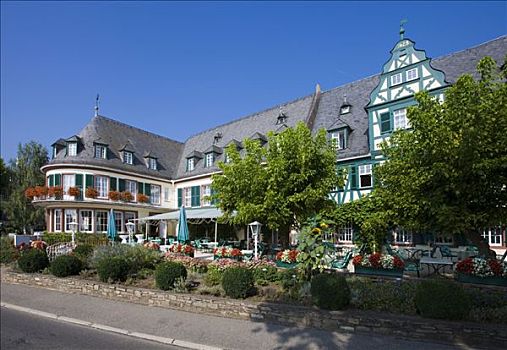 酒店,莱茵高地区,黑森州,德国,欧洲
