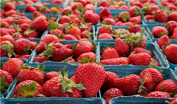 市场,草莓