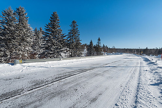 冬季雪后的树林和公路