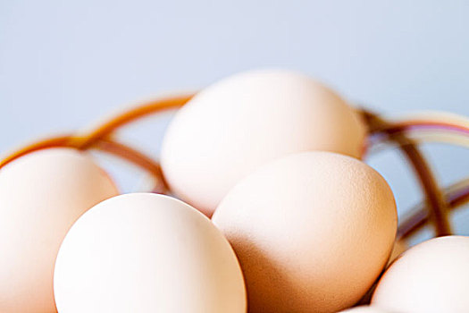 鸡蛋,蛋类