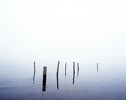 简约,海景,雾状,早,寒冷,早晨,几个,衰败,木质,柱子,思考,表面,水,2006年