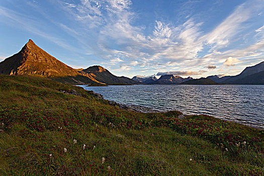 落日,罗弗敦群岛,挪威
