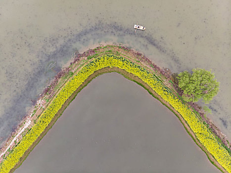 湖北黄石保安湖国家湿地公园春季航拍风光