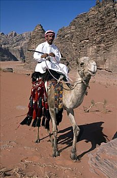 贝都因人,骑,骆驼,瓦地伦,约旦,中东