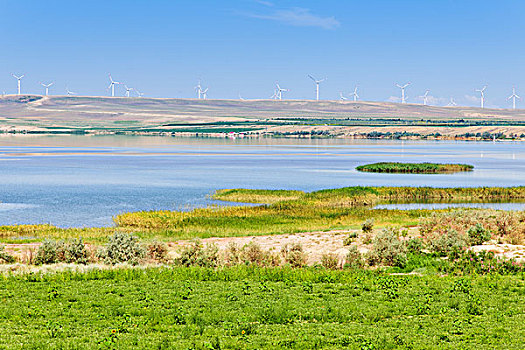 河岸的草地和风力发电机组