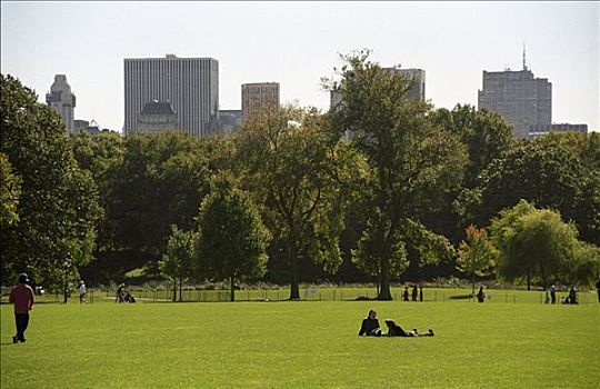 绿色,草地,中央公园,曼哈顿,纽约,美国