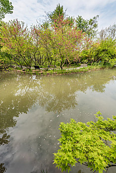 中国江苏南京栖霞山桃花涧的池塘桃花和园林建筑