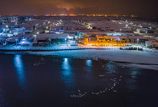 航拍山东威海俚岛镇烟墩角拍摄的冬天雪地天鹅风景夜景