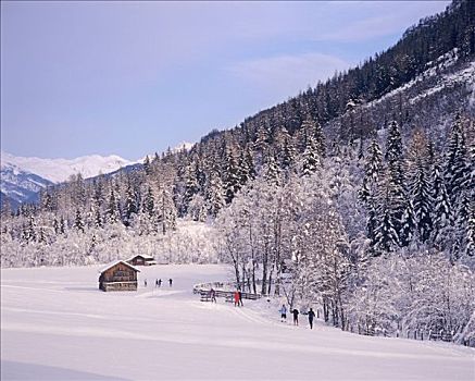冬季风景,越野,滑雪者