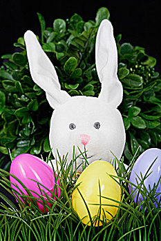 特写,复活节兔子,复活节彩蛋
