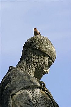 苍头燕雀,头部,大理石,雕塑,国王,康拉德,靠近,黑森州,德国
