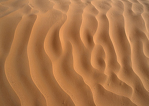 突尼斯,撒哈拉沙漠,波纹,沙子