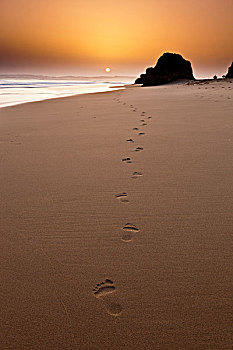 脚步,左边,后面,沙子,日落