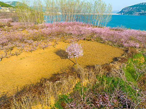 航拍济南卧虎山水库春暖花开