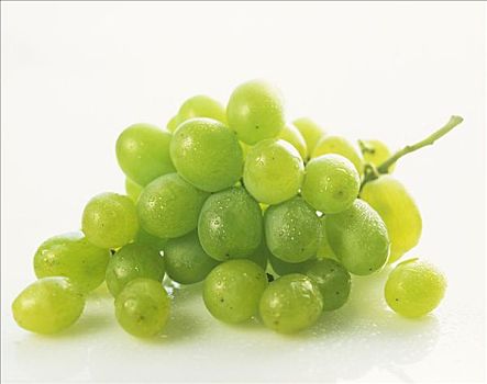 绿葡萄