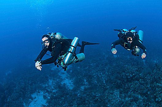 科技,潜水,设备,游泳,加勒比,礁石