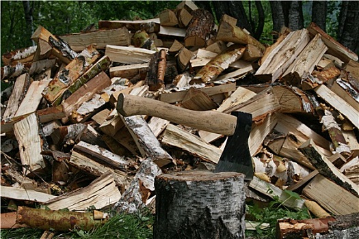 斧子,一堆木材,树林