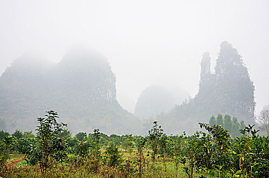 桂林喀斯特雾景