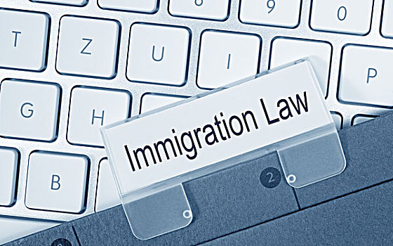 移民,法律