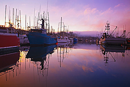 日出,晨雾,渔船,纽波特,俄勒冈,美国