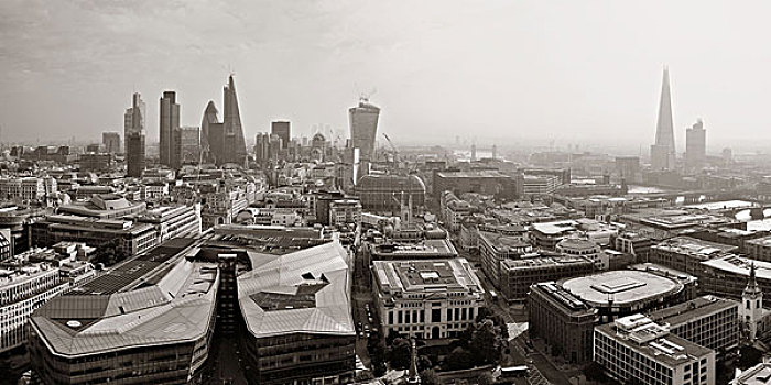 伦敦,屋顶,风景,全景