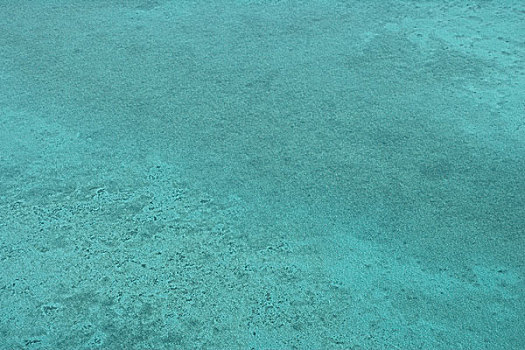 青绿色,水,俯视,伯利兹,加勒比海