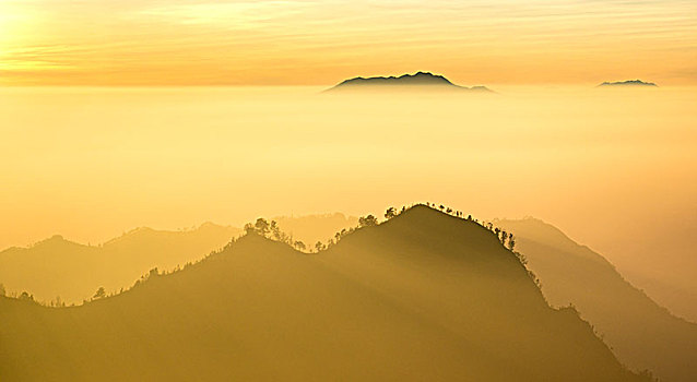 山,剪影,树,日出,国家公园,爪哇,印度尼西亚,亚洲