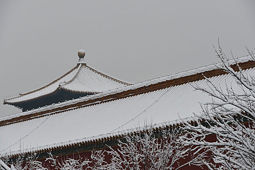 雪脊宫围