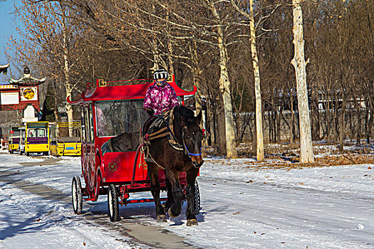冬天行走中在雪地上的红色马车