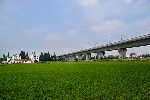 高铁,中国高铁,田园风光