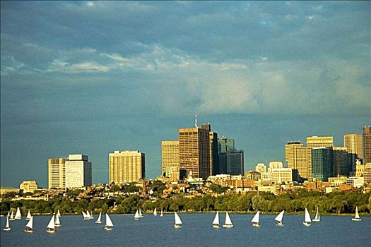 帆船,河,查尔斯河,波士顿,马萨诸塞,美国