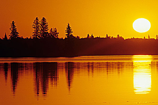 日出,上方,湖,怀特雪尔省立公园,曼尼托巴,加拿大