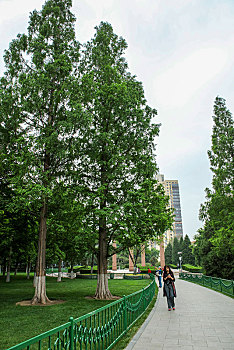 北京世纪坛公园